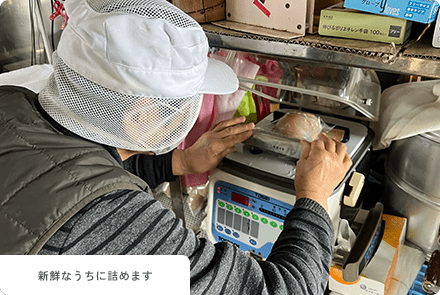 袋詰め