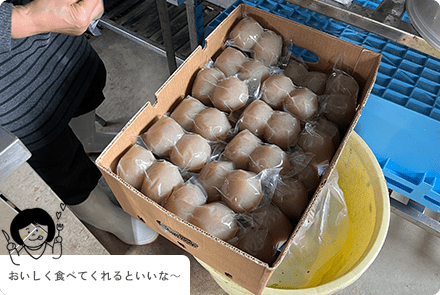 殺菌消毒・出荷